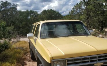 Chevy-suburban-2500-4x4-1985-yellow-2