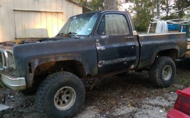 Chevy-swb-4x4-1977-13