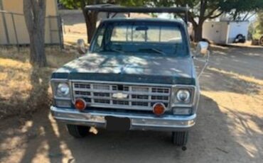 Chevy-truck-1977-1