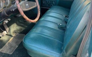 Chevy-truck-1977-2