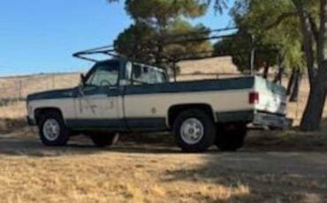 Chevy-truck-1977