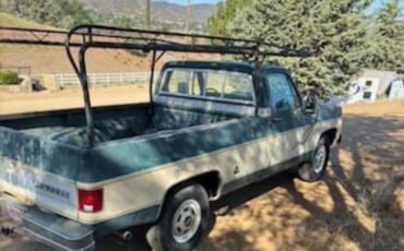 Chevy-truck-1977-4