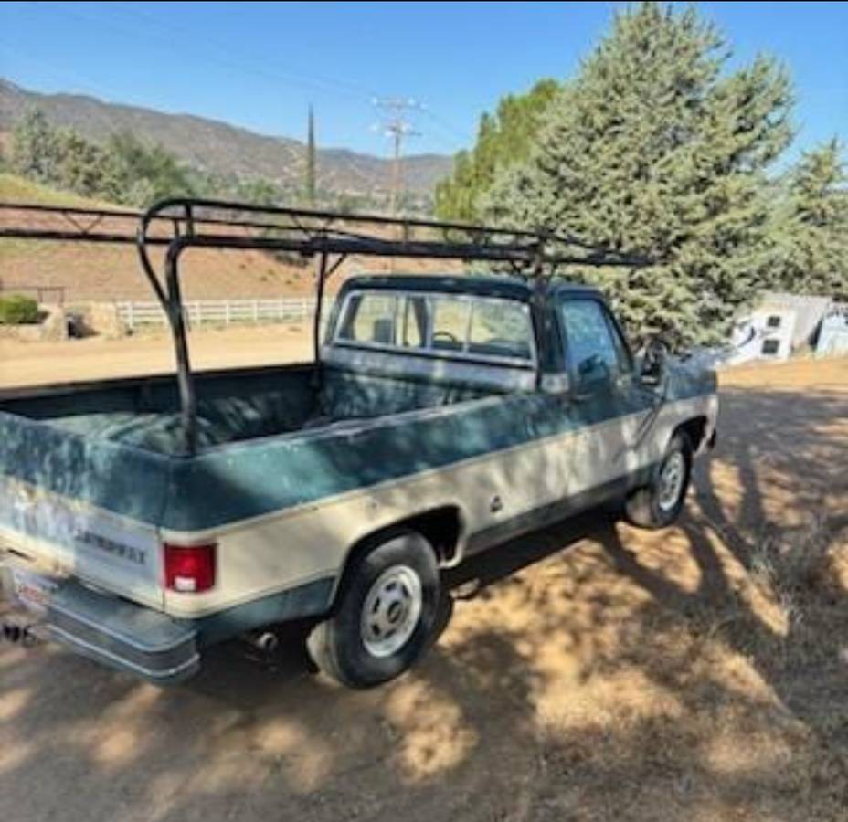 Chevy-truck-1977-4