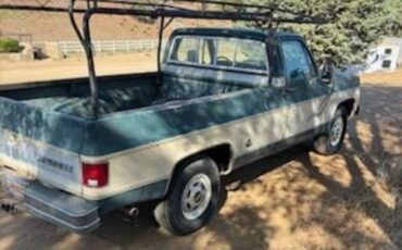 Chevy-truck-1977-5
