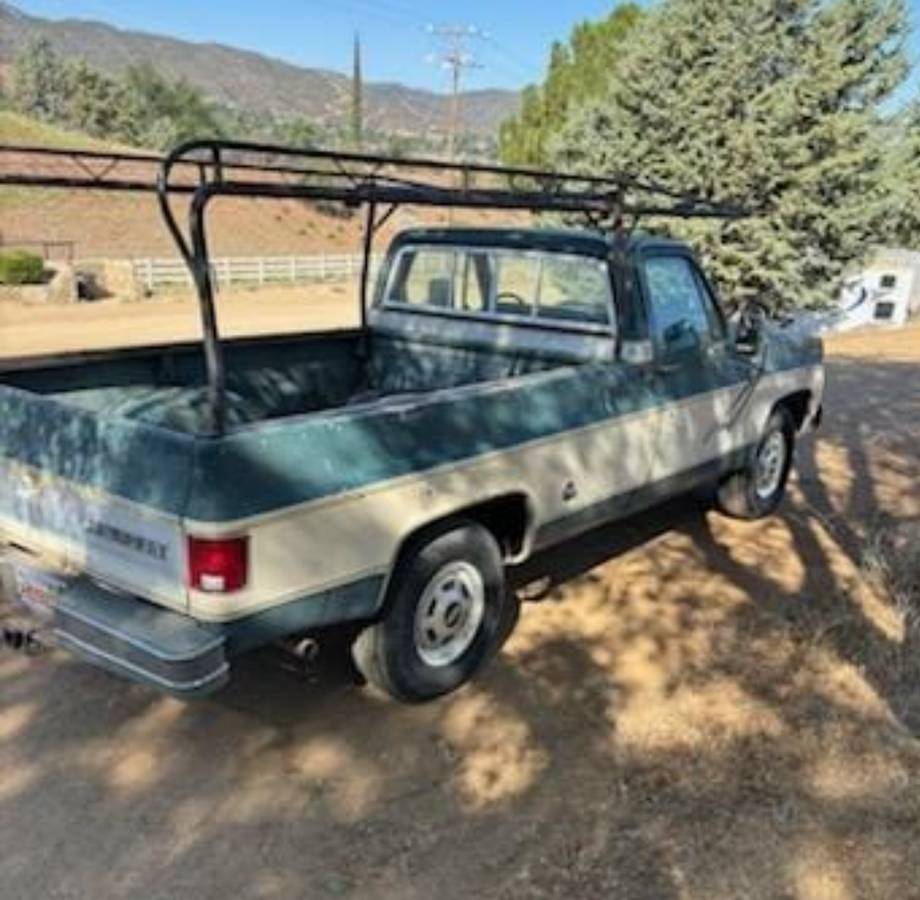 Chevy-truck-1977-5