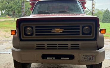Chevy-truck-1979-custom