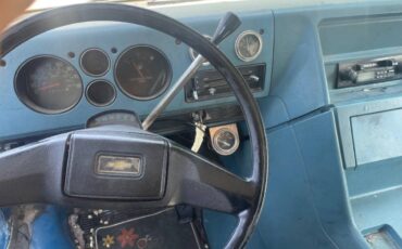 Chevy-van-10-1979-6