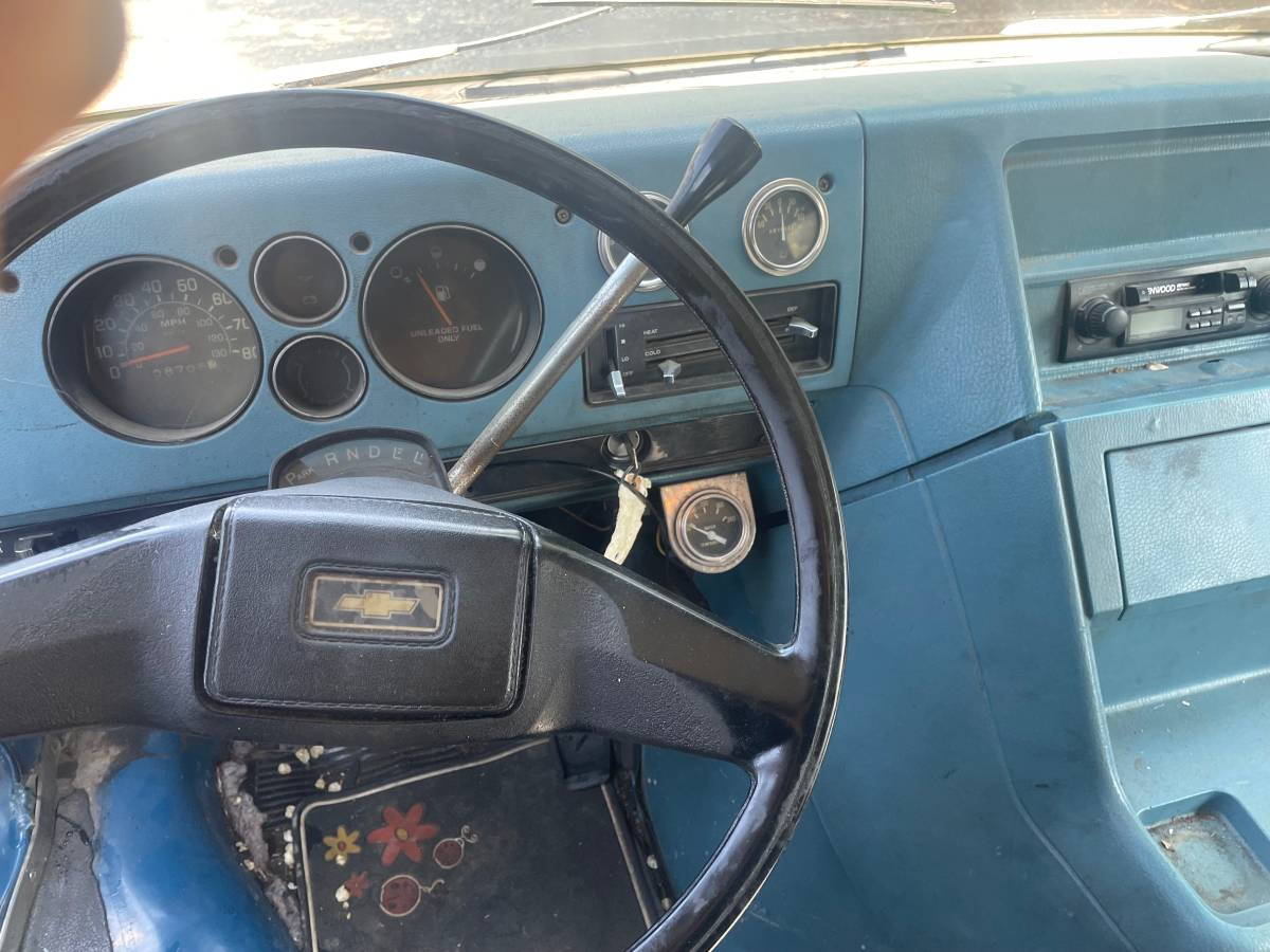 Chevy-van-10-1979-6