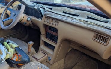 Chrysler-Town-Country-1989-15
