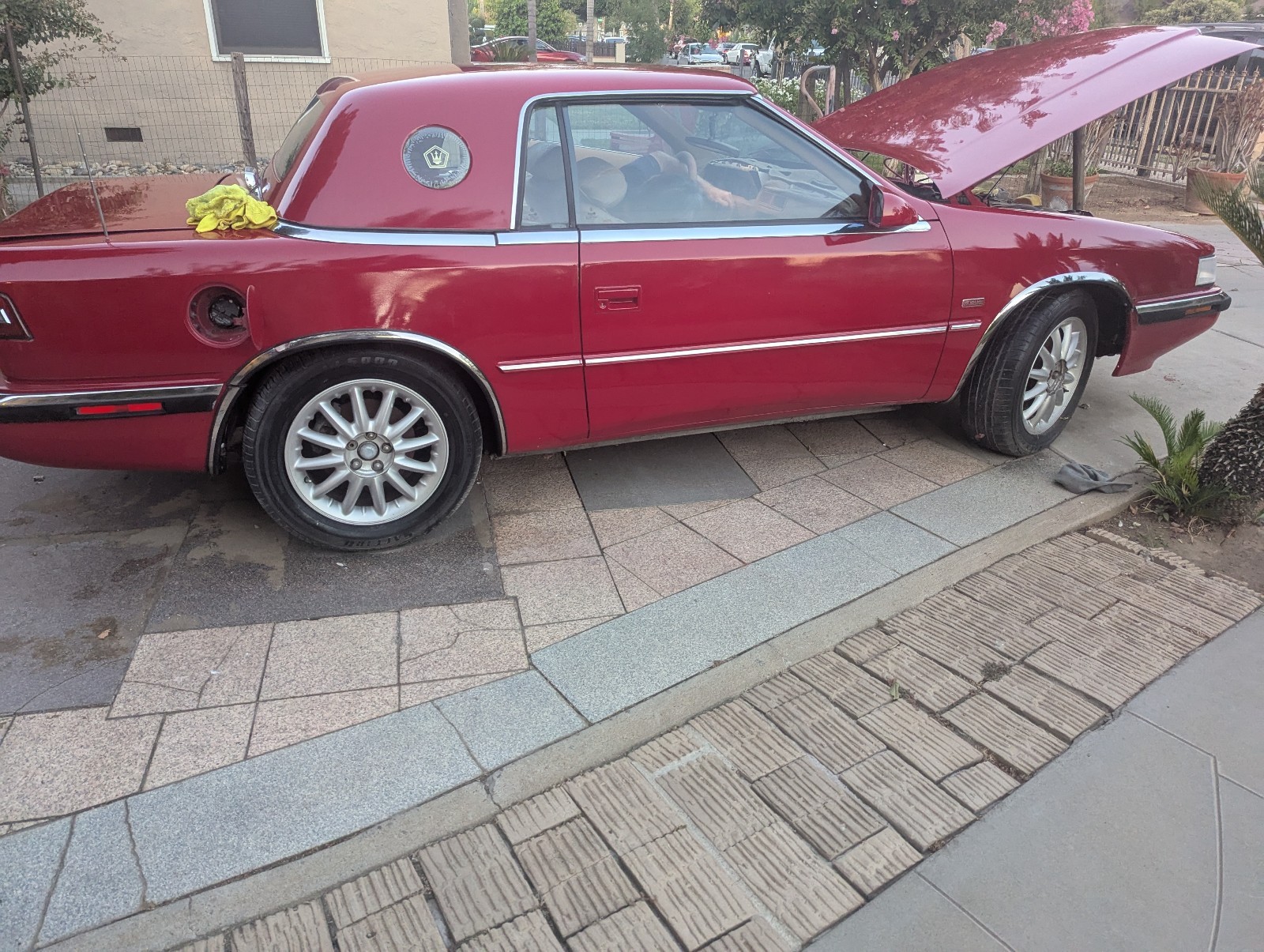 Chrysler-Town-Country-1989-6