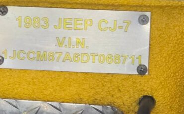 Cj7-1983-purple-11