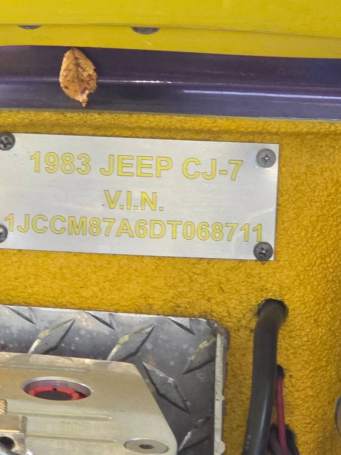 Cj7-1983-purple-11