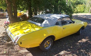 Cutlass-convertable-1969-yellow-4