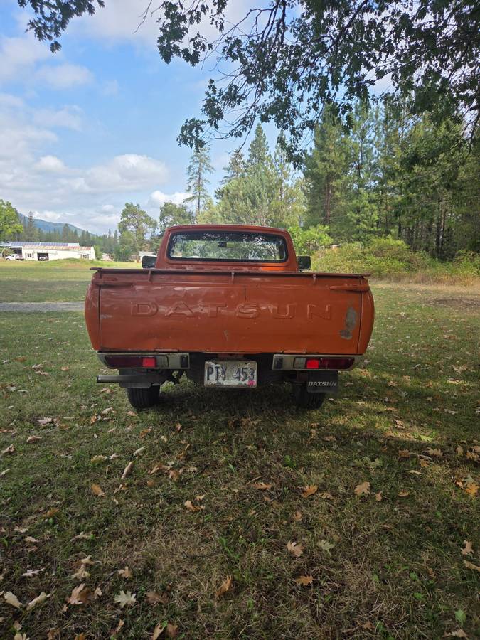 Datsun-1978-orange-3