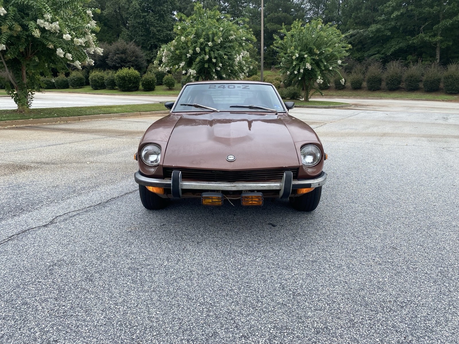 Datsun-240Z-1973-3