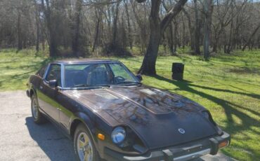 Datsun-280zx-1979-brown-4