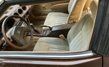 Datsun-280zx-1982-brown-3