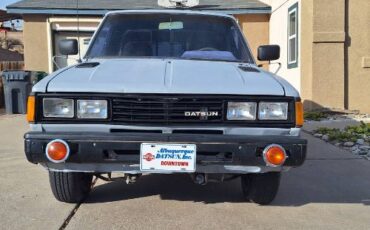 Datsun-Other-1982-Gray-1