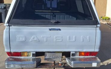 Datsun-Other-1982-Gray-10