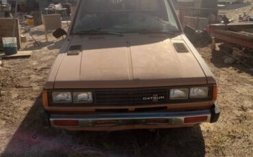 Datsun-pickup-1982-4