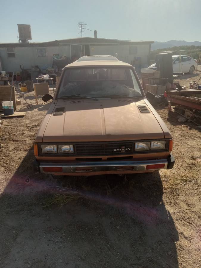 Datsun-pickup-1982-4