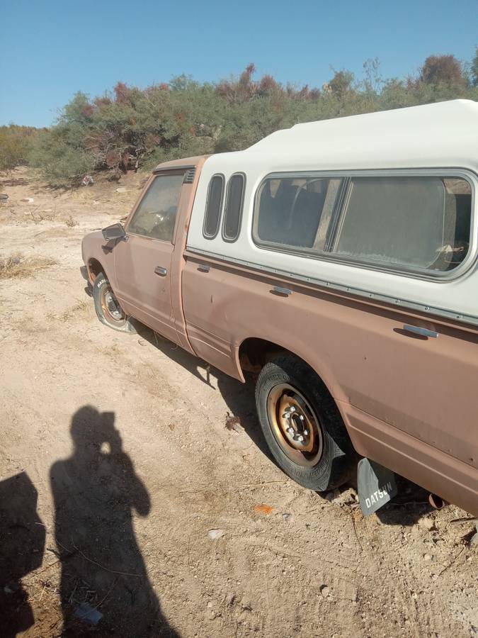 Datsun-pickup-1982-6