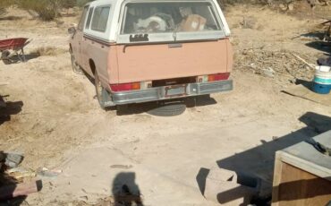 Datsun-pickup-1982-7