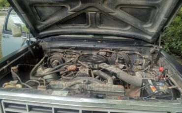 Dodge-1500-1985-2