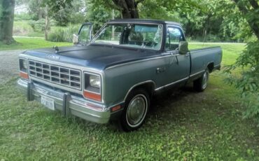 Dodge-1500-1985-3