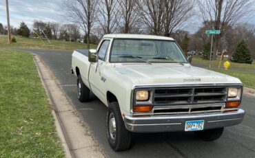 Dodge-1981-white-1
