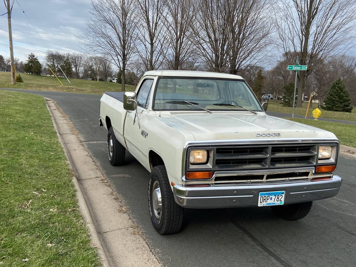 Dodge-1981-white-1