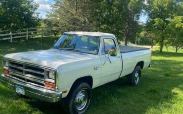 Dodge-1981-white-10