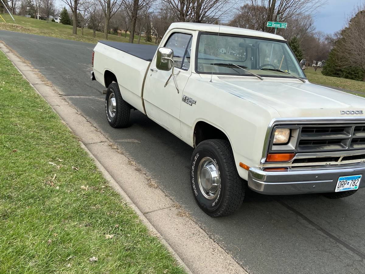 Dodge-1981-white-2