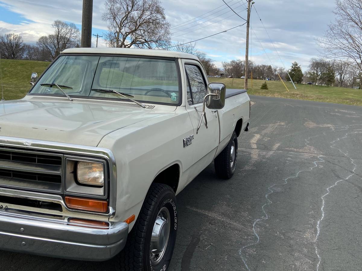 Dodge-1981-white-3