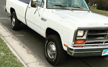 Dodge-1981-white