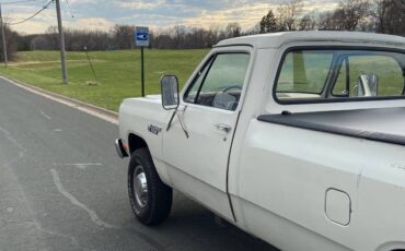 Dodge-1981-white-4