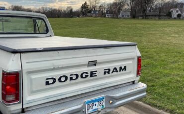 Dodge-1981-white-5