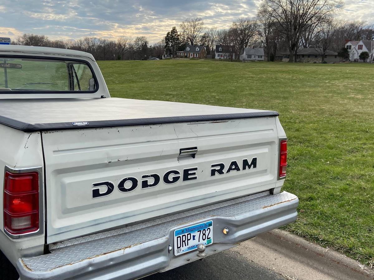 Dodge-1981-white-5