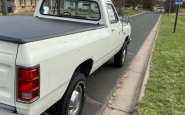 Dodge-1981-white-6