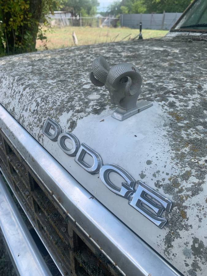 Dodge-1984-3