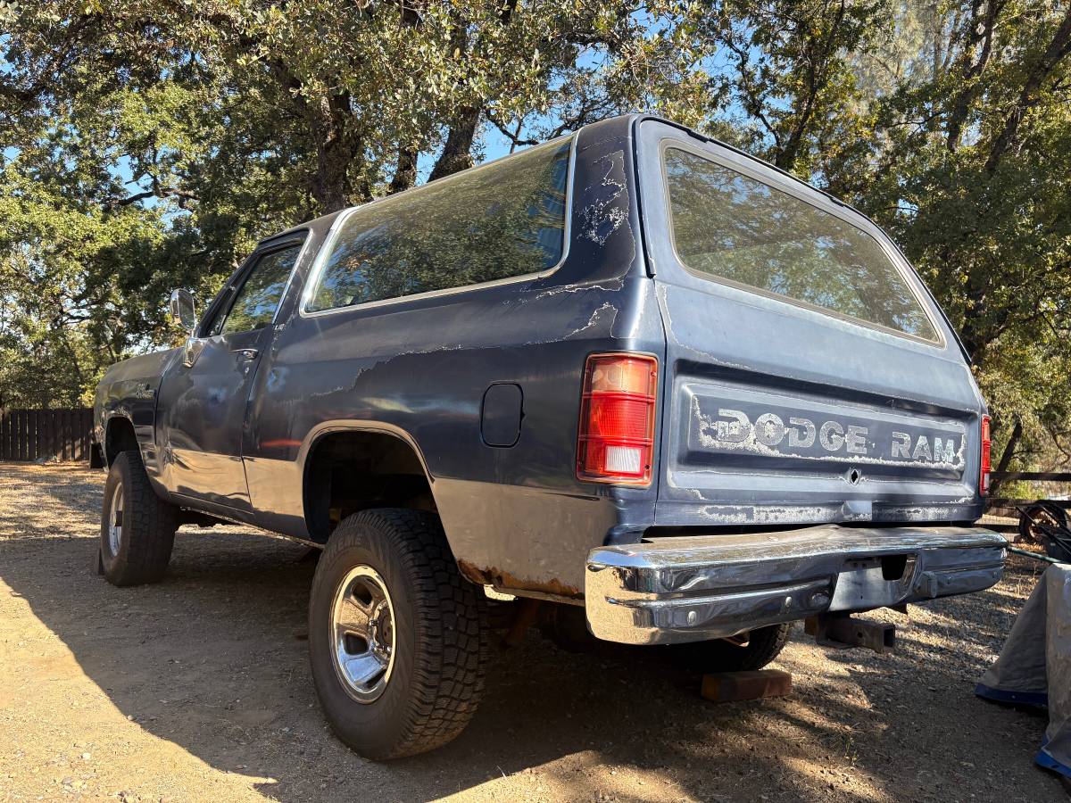 Dodge-1991-1