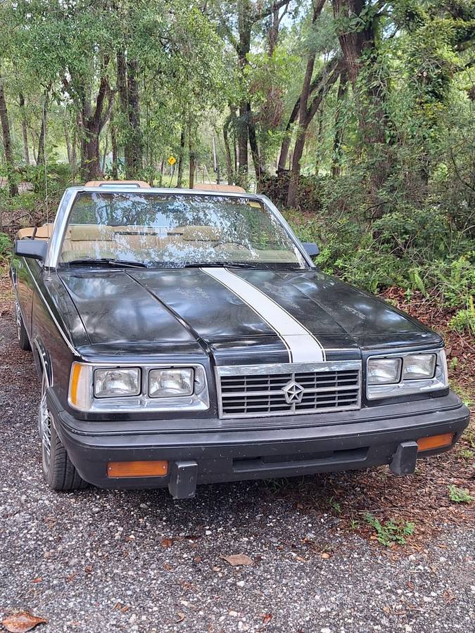Dodge-600-1986-black-3