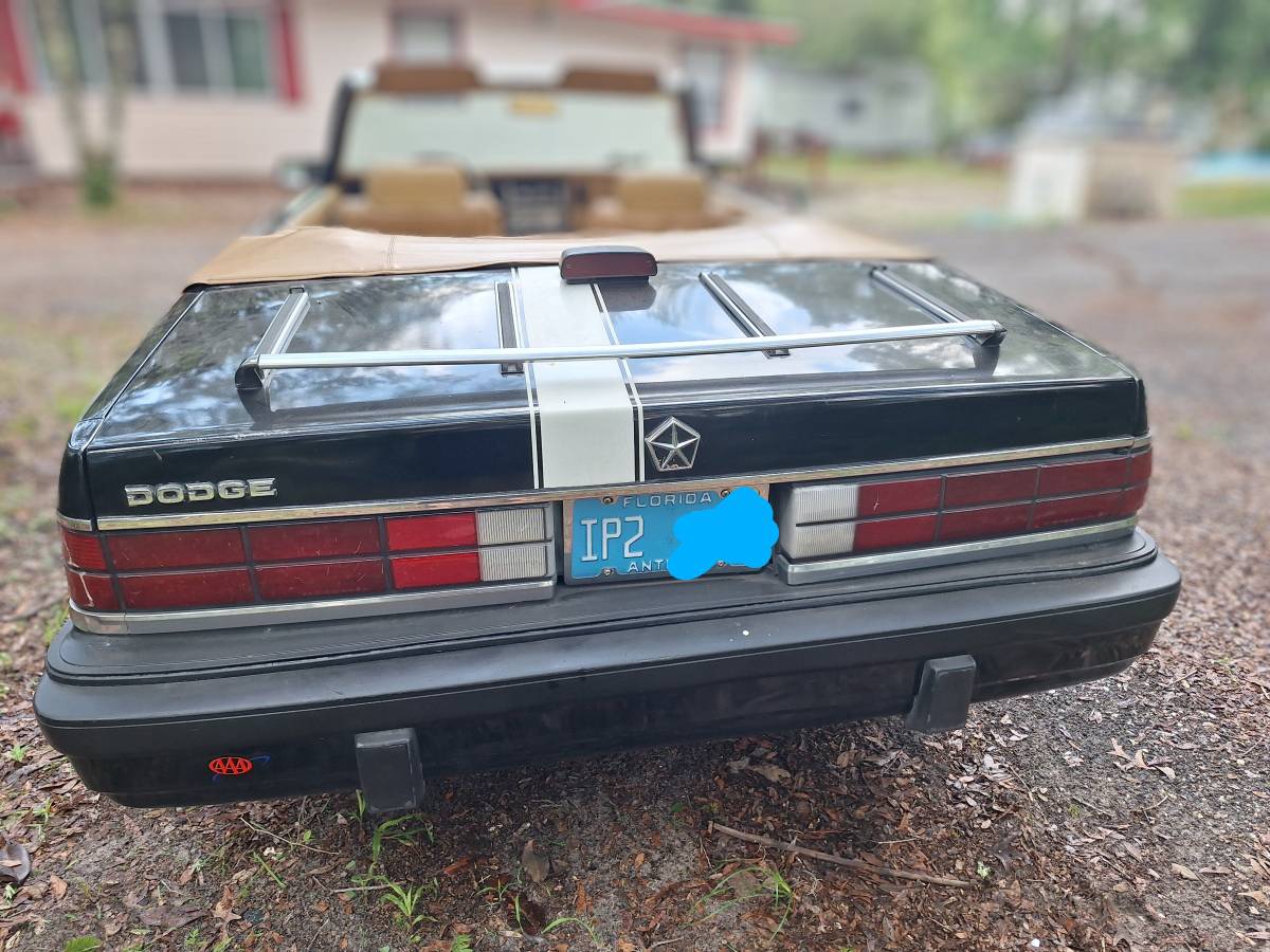 Dodge-600-1986-black-7