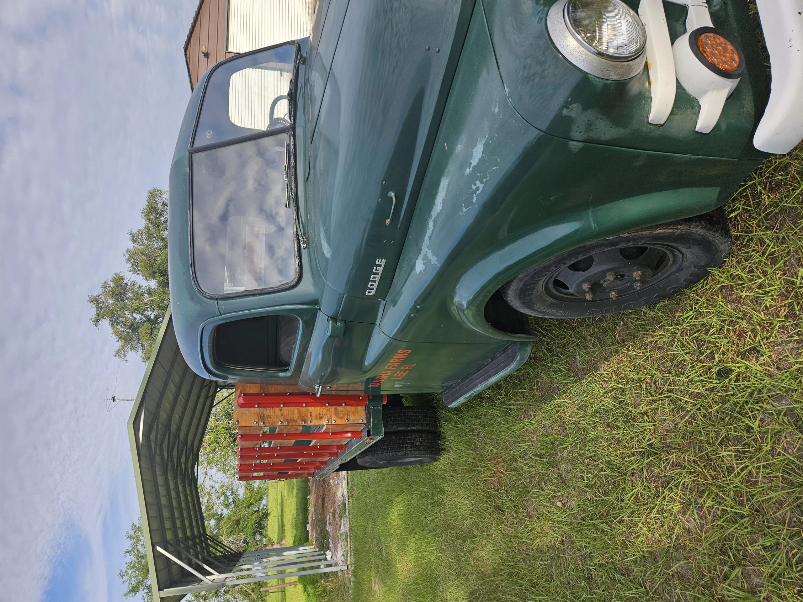 Dodge-B-series-1951-Green-Green-2