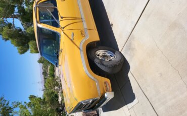 Dodge-B200-1973-Gold-Gold-11