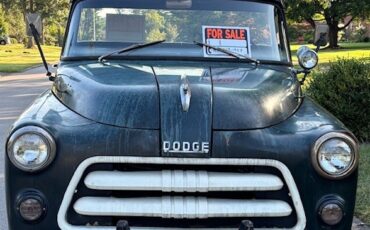 Dodge-C-3-DL6-1955-Pickup-2