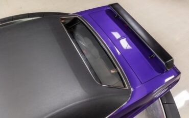 Dodge-Challenger-1970-Purple-27