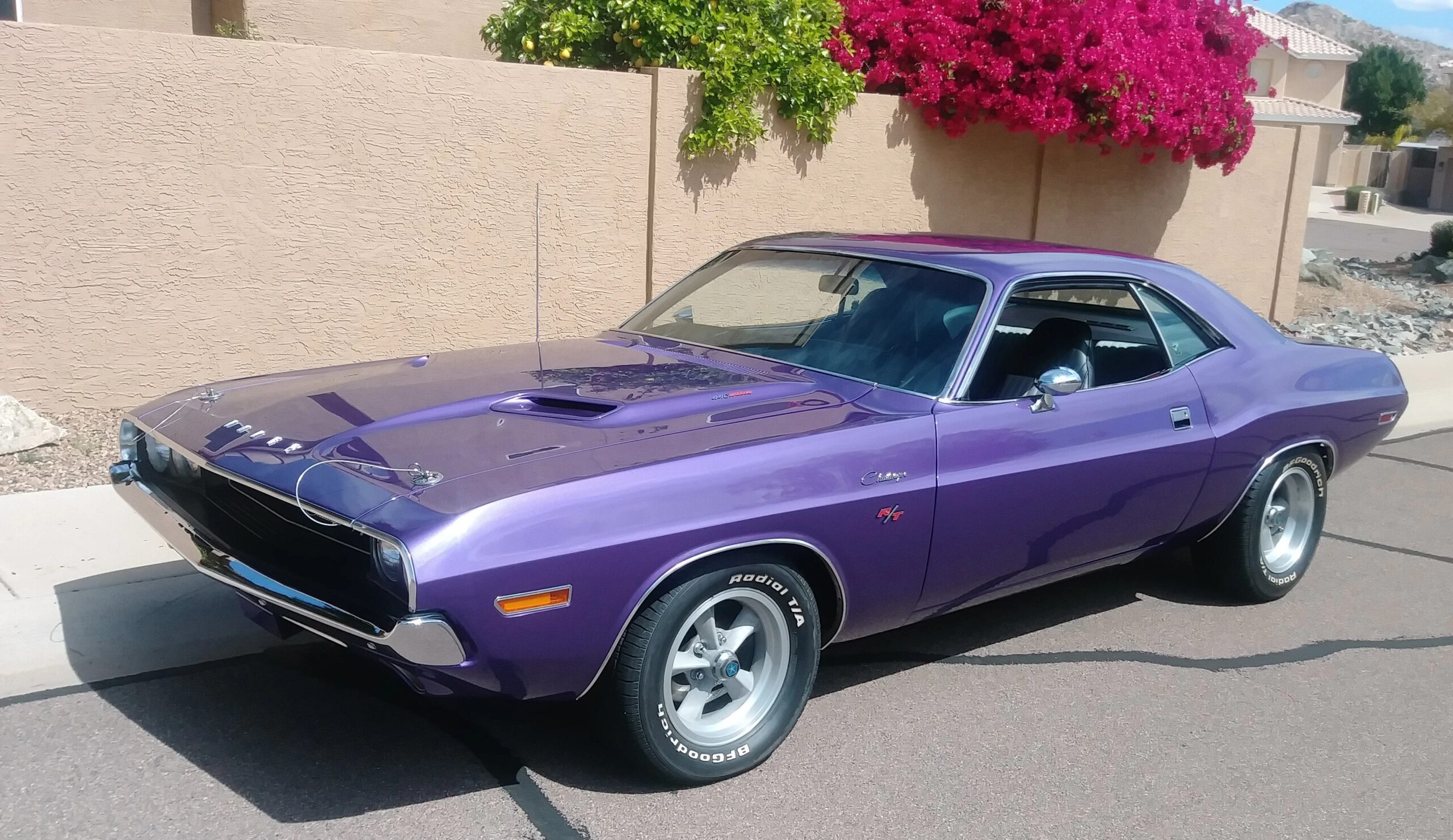 Dodge-Challenger-rt-1970-Purple-Black-14