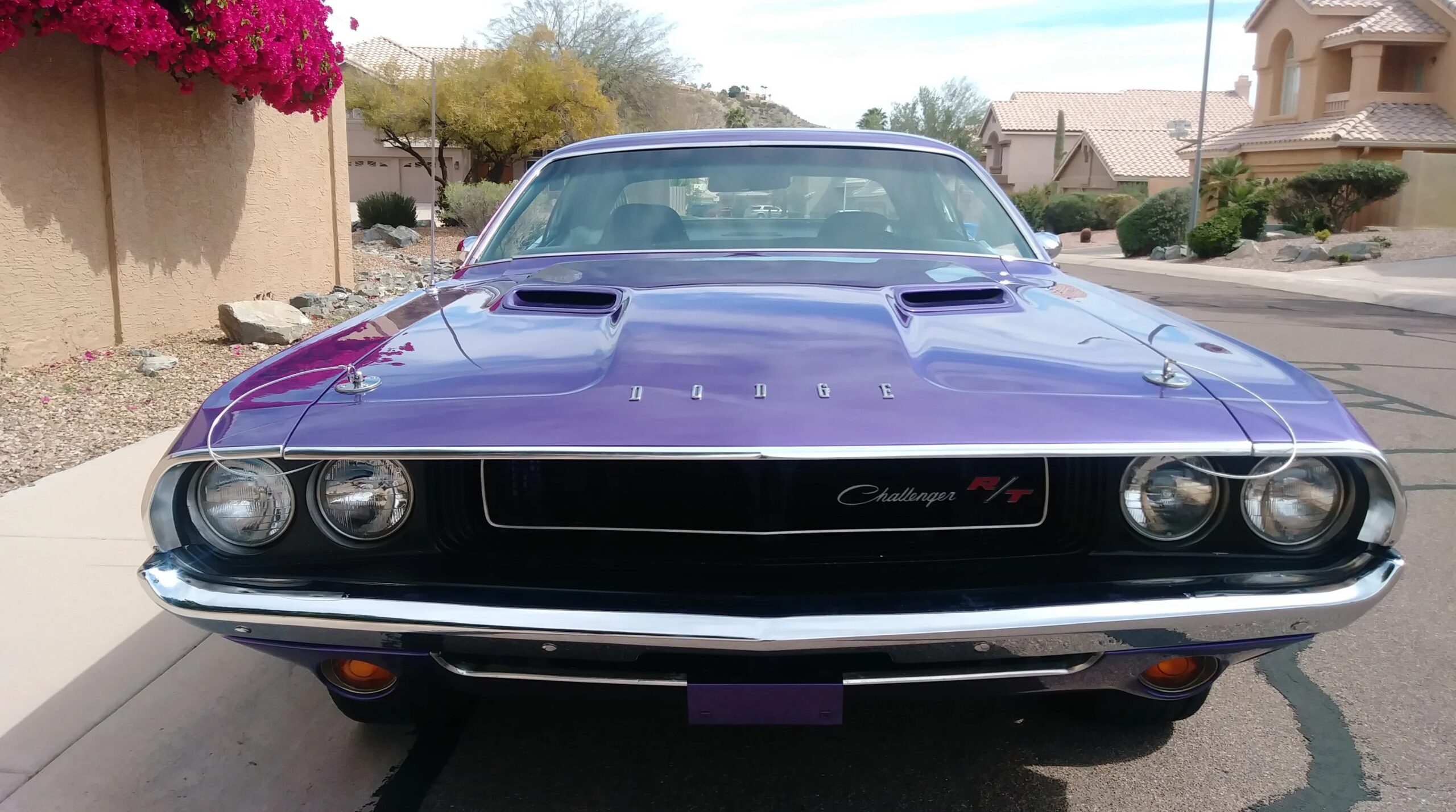 Dodge-Challenger-rt-1970-Purple-Black-2