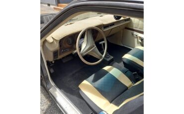 Dodge-Charger-1974-Black-Beige-14